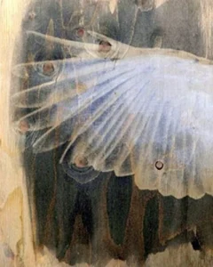 reference: https://www.pinterest.com/pin/394346511115905225/